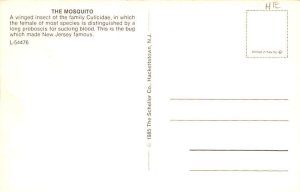 Mosquito Insect Unused 