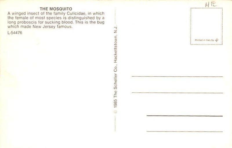 Mosquito Insect Unused 