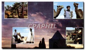 Modern Postcard Picturesque Afrioue North Picturesque Northern Africa Camels