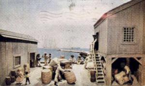 The Texas Navy Galveston TX 1960