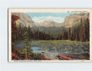 Postcard Lily Pond, Wild Basin, Rocky Mountain National Park, Colorado