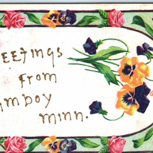 c1910s Amboy, Minn. Hand Written Gilt Paint Postcard St Paul MN Souvenir Vtg A66