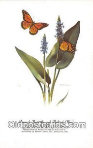 Monarch Butterfly & Pickerel Weed Artist RT Peterson Unused 