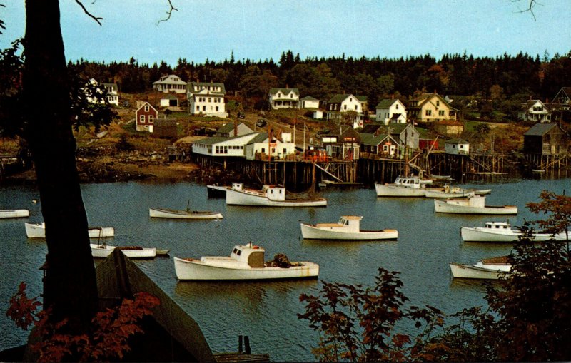 Maine Pemaquid Peninsula Harbor Scene