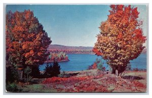 Generic Scenic Greetings Your Town And State Dealer Card UNP Chrome Postcard M20