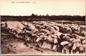 Algeria La Grande Priere Vintage Postcard C190