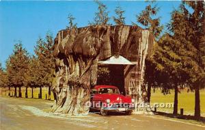 Logs, Logging, Timber, Old Vintage Antique Postcard Post Card, Postales, Post...