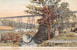 FERNDALE NEW YORK~STONE ARCH-DAM & RAILROAD TRESTLE-ARTINO PHOTO POSTCARD 1908