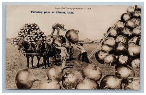 1909 Harvesting Exaggerated Onions Martin Limon Colorado RPPC Photo Postcard