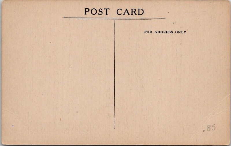 Eau Claire Wisconsin High School Unposted c1910 Postcard X5