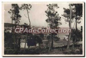 Postcard Old Ste Maxime Sur Mer A Travers les Pins