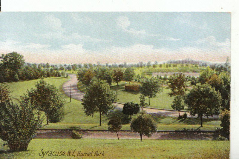 America Postcard - Syracuse - New York - Burnet Park - Ref 13545A