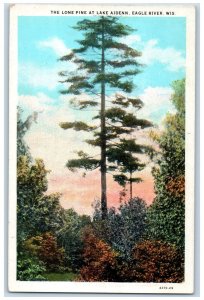 c1920's The Lone Pine at Lake Aidenn Eagle River Wisconsin WI Postcard