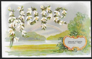 Language of Flowers Snowdrops Hope Unused c1910s