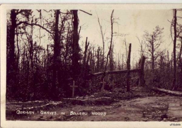 WWI 1918 PHOTO GERMAN GRAVES IN BELLEAU WOODS