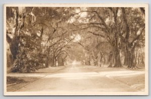 RPPC Beautiful Spanish Moss Trees Wesley Jackson Studio Charleston Postcard B32