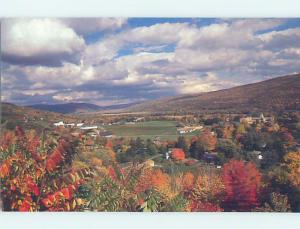 Unused Pre-1980 PANORAMIC VIEW Finger Lakes - Naples New York NY H9854