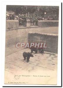 Switzerland Bern der Barengraben Postcard Old Bern the bear pit (bear)