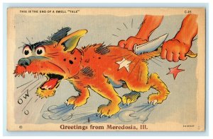 1940 Greetings From Meredosia Rockford Illinois IL Dog Comic Postcard