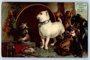 Dog Puppies Alexander & Diogenes Landseer Tate Gallery London Antique Postcard