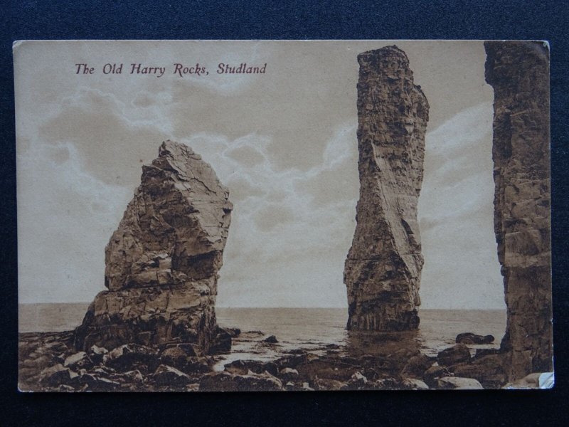 Dorset STUDLAND The Old Harry Rocks c1906 Postcard by J. Welch & Sons