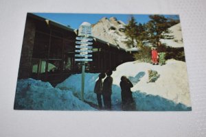 Tramway Mountain Station Palm Springs California Postcard Bob Petley Petley