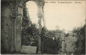 CPA AK La Mida Belvedere TUNIS TUNISIA (712650)