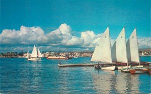 California Balboa Park Bay boats Pacific Coast Royal Pictures Postcard 22-7654