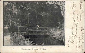 Griswoldville Massachusetts MA The Spring and Bridge c1910 Vintage Postcard