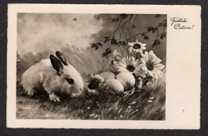 Frohliche Ostern Easter Postcard Bunny Eggs Flowers Carte Postale PC Vintage