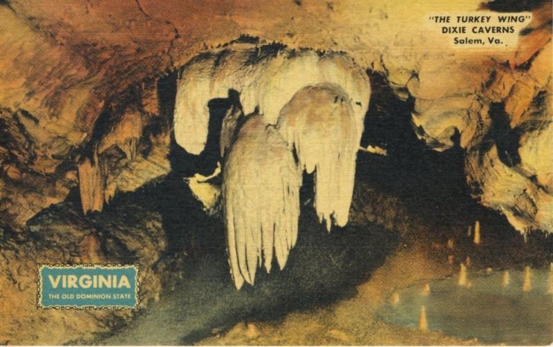 Dixie Caverns Salem VA Virgina The Turkey Wing Vintage Linen Postcard E1