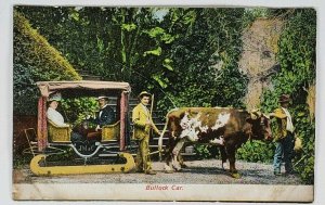 PORTUGAL MADEIRA J.M.&C BULLOCK CAR PORTUGUESE  POSTCARD K8