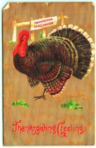 Thanksgiving Greetings Turkey Proclamation Gilt  Embossed DB Postcard I10