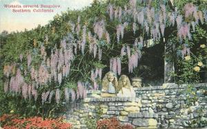 California C-1910 Wisteria Bungalows Postcard Van Ornum Colorprint 5565