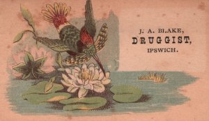 1880s-90s Bird Flying Flower J.A. Blake Druggist Ipswich Trade Card