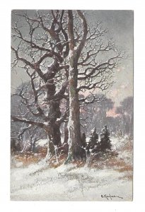 Austrian Painter Adolf Kaufmann Winter Landscape Trees TSN Serie 1398 Postcard