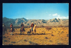 Horseback Riding Postcard, Riders On Horses Out West While Desert In Bloom