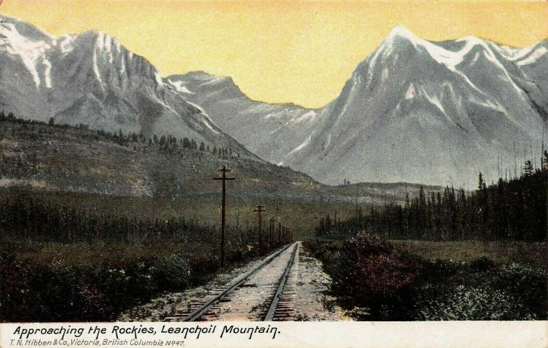 Approaching the Rockies, Leanchoil Mtn., British Columbia,Canada, Early Postcard