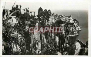 Modern Postcard The Rock of Monaco saw Exotic Gardens