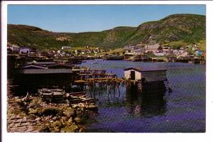 Petty Harbour, Newfoundland, Drying Fish and Nets