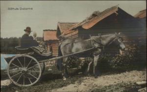 Rattvik Dalarne Sweden Native Man & Wife Horse Drawn Wagon c1910 Tinted RPPC