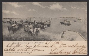 Canada Typical Canadian Scenes - THRESHING by Illustrated Post Card Co pm1905 DB