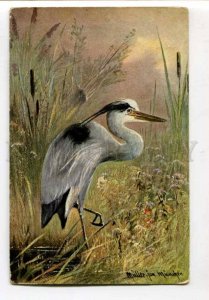 299399 HUNT Heron Bog by Mueller MULLER Vintage Colorful PC 