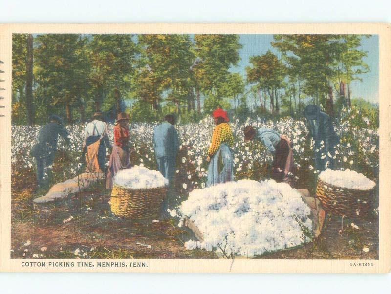 Linen BLACK AMERICANA - WORKERS AT COTTON PICKING TIME Memphis TN E9394