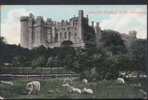 Sussex Postcard - Arundel Castle From The Meadows   MB1451