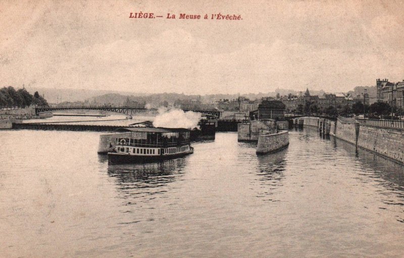 La Meuse a l'Eveche,Liege,France BIN