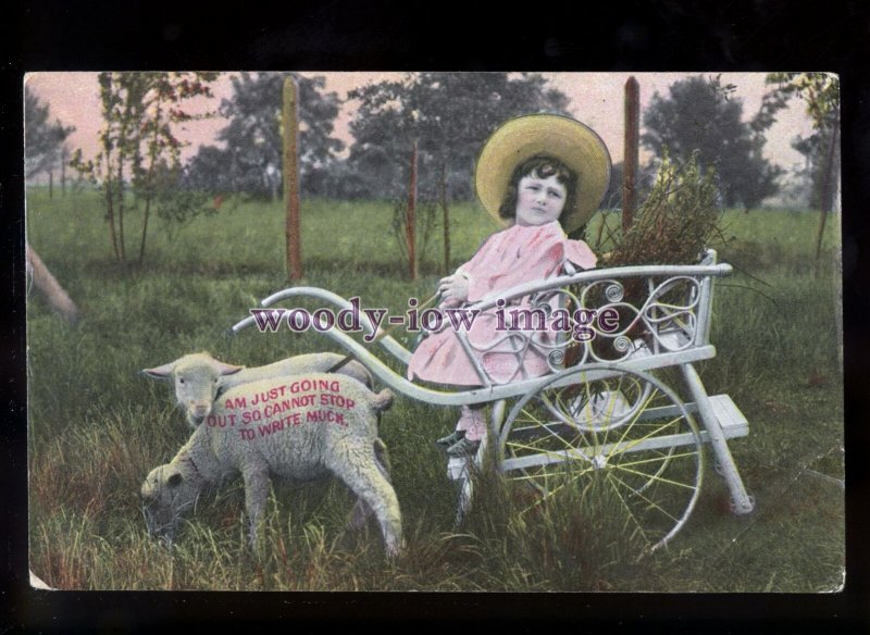 ch0454 - Children - Young Girl with Sheep & Cart, to busy to write!! - postcard