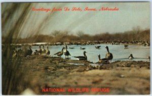 c1970s Missouri Valley, IA De Soto Wildlife Refuge Bertrand Steamer History A306