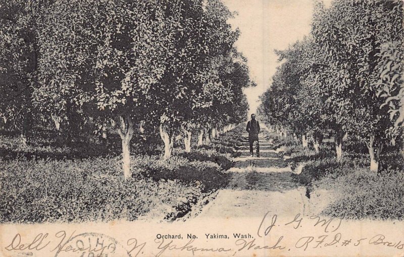 SEATTLE WASHINGTON-SECTION OF THE WATERFRONT~1900s LOWMAN-HANFORD PHOTO POSTCARD