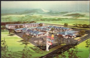 Tennessee CHATTANOOGA Albert Pick Motel 3210 South Broad Street - pm1967- Chrome